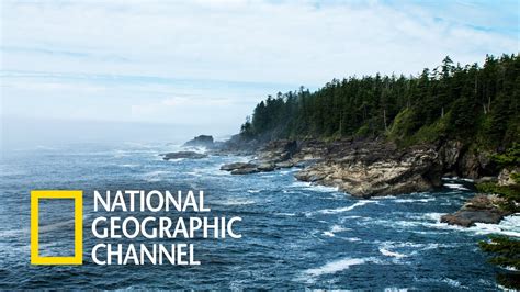 national geografic chanel|national geographic channel full documentary.